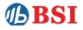 BSI Bild Logo des Unternehmens